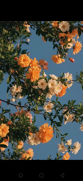 Post: